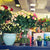 Find the Best Flower Shop Near You: A Comprehensive Guide