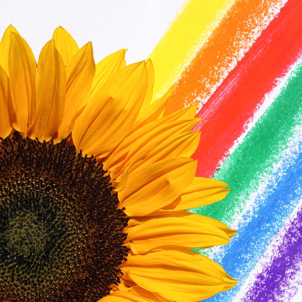 Meaning of flower colors