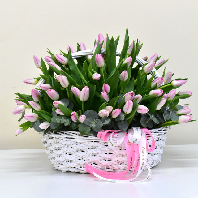 100 Pink Tulips