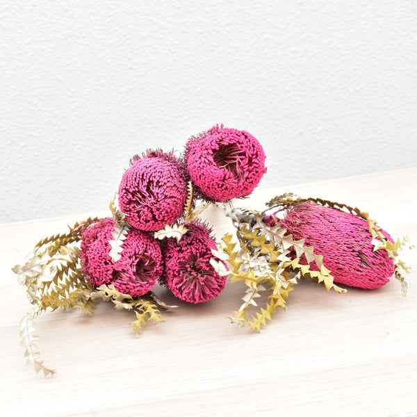 Banksias Preserved Preserved Flowers Dubai Flower Station