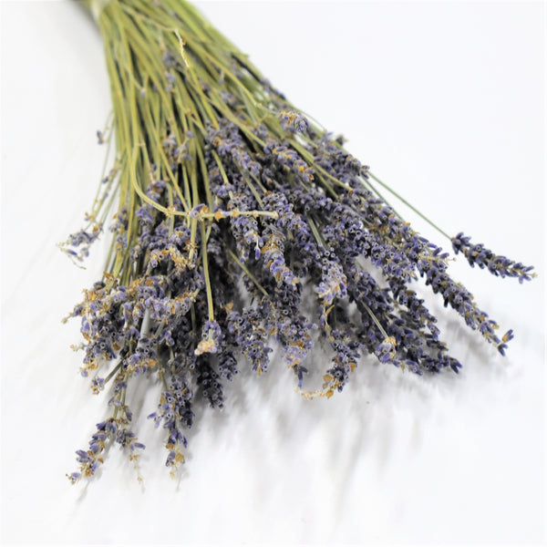 lavender plant dubai Dried Lavender Mini | Dried Flower Dubai