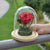Forever Rose: A great way to capture your special moments