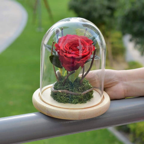 Forever Rose: A great way to capture your special moments