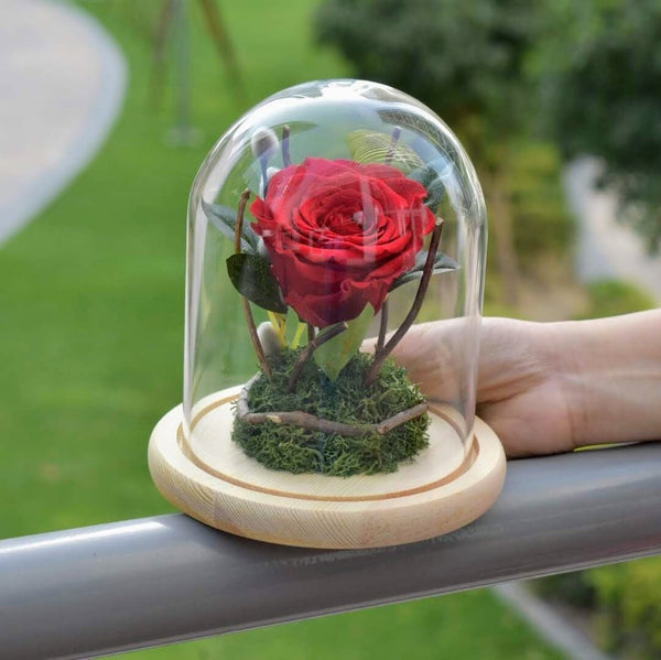 Forever Rose: A great way to capture your special moments