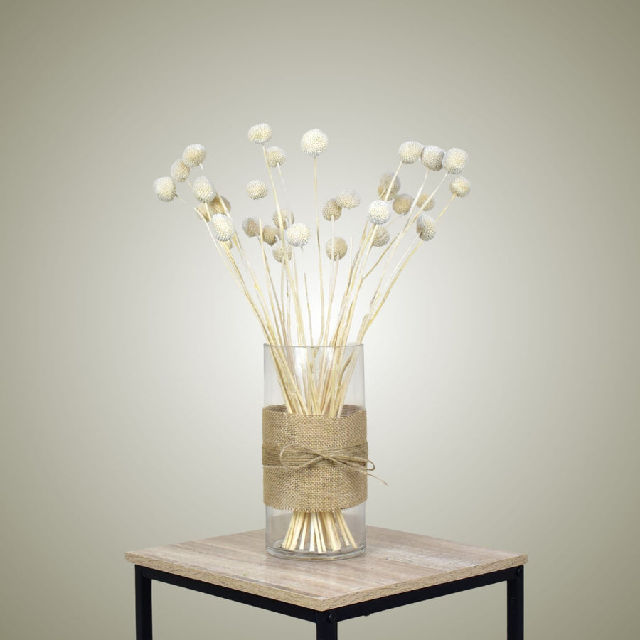Dried Craspedia in Vase - Flower Station Dubai
