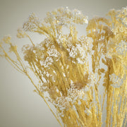 Dried Rice flower in Vase