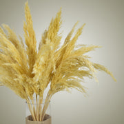 Pampas in Vase - Small - Flower Station Dubai