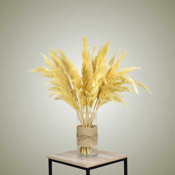 Pampas in Vase - Small - Flower Station Dubai