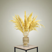 Pampas in Vase - Small - Flower Station Dubai
