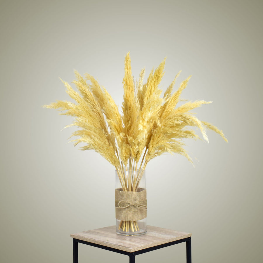 Pampas in Vase - Small - Flower Station Dubai