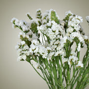 Dried Statice in Vase - Flower Station Dubai
