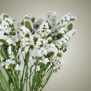Dried Statice in Vase - Flower Station Dubai