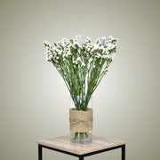 Dried Statice in Vase - Flower Station Dubai