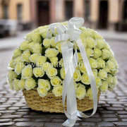 151 white roses bakset