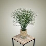 Dried Limonium in Vase