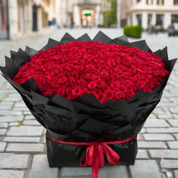 500 premium red roses bouquet wrapped with black -valentine's special
