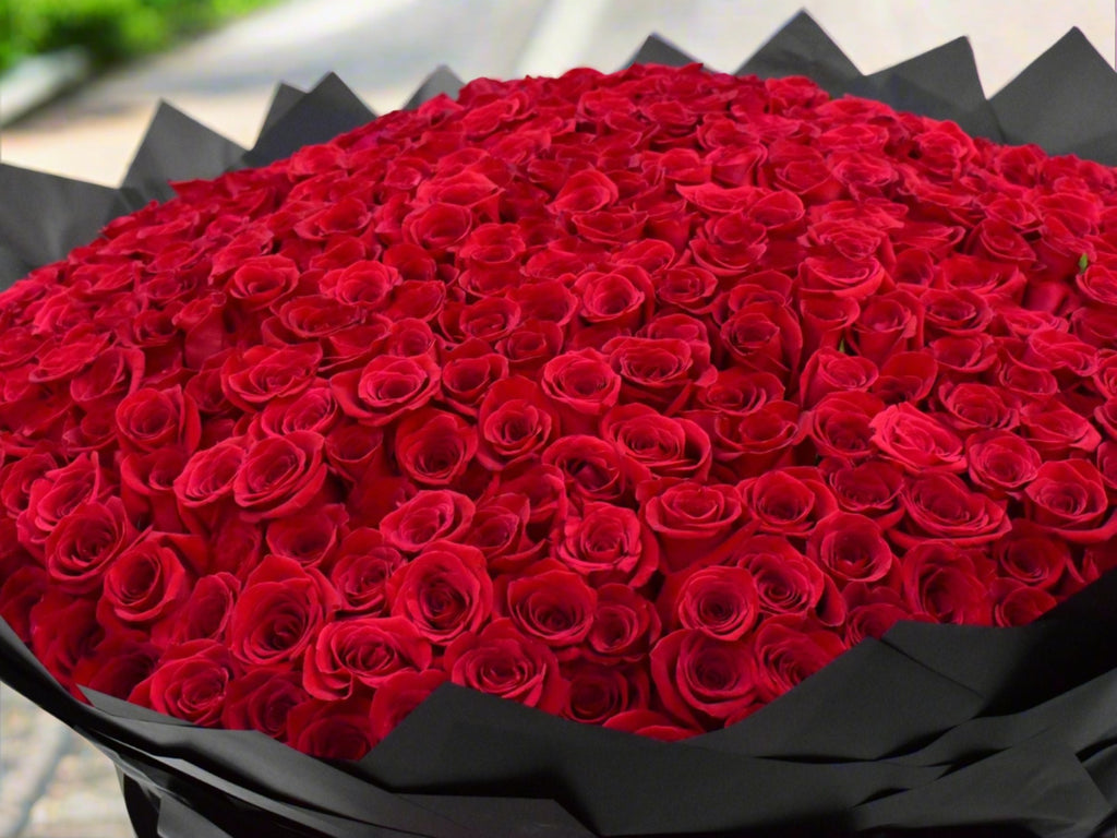 500 & 501 Red Rose | Flower Station