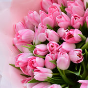 Pink Tulips - Flower Station Dubai