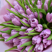 Purple Tulips - Flower Station Dubai