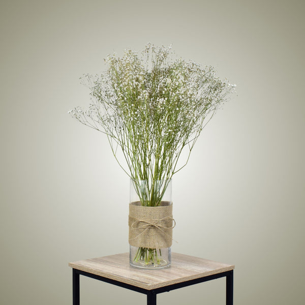 Dried Gypsophila in Vase - Flower Station Dubai