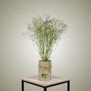 Dried Gypsophila in Vase - Flower Station Dubai