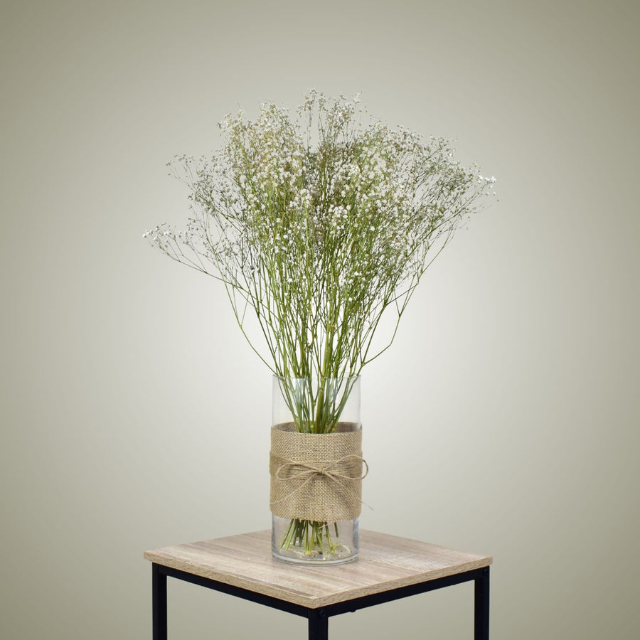 Dried Gypsophila in Vase - Flower Station Dubai
