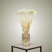 Lagurus Ovatus in Vase