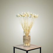 Phalaris in Vase
