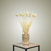 Phalaris in Vase