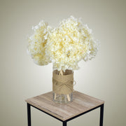 Dried Hydrangea in Vase - Flower Station Dubai