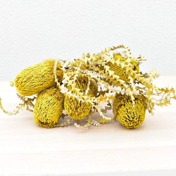 Banksias - Preserved - Flower Station Dubai