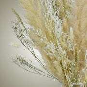 Nature's Treasure