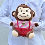 Twin Baby Monkey - Flower Station Dubai