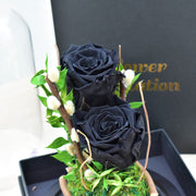 Black Pearl - Forever Rose - Flower Station Dubai