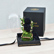 Black Pearl - Forever Rose - Flower Station Dubai