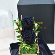 Black Pearl - Forever Rose - Flower Station Dubai