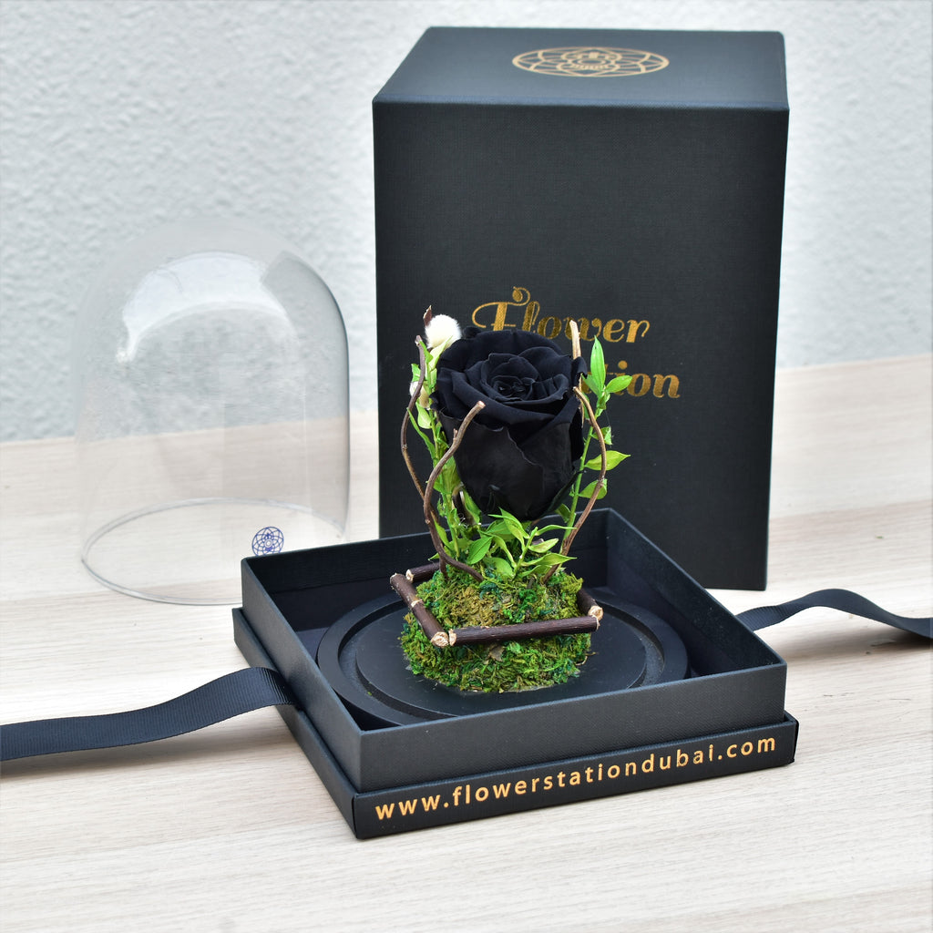 Black Forever Rose in Glass Dome | Flower Station