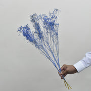 Dried Gypsophila - Flower Station Dubai