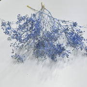 Dried Gypsophila - Flower Station Dubai