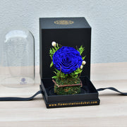True Love - Forever Rose - Flower Station Dubai
