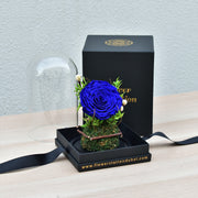 True Love - Forever Rose - Flower Station Dubai