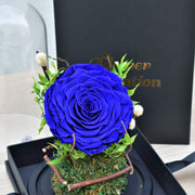 True Love - Forever Rose - Flower Station Dubai