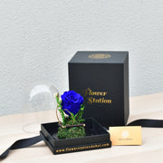 dark blue infinity rose 