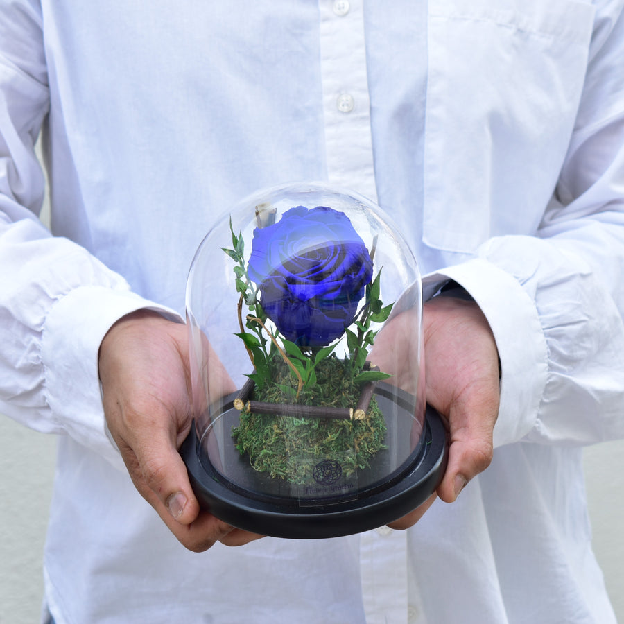 dark blue eternal rose in glass dome