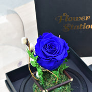 dark blue infinity rose 