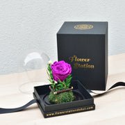 Dark Purple - Forever Rose - Flower Station Dubai