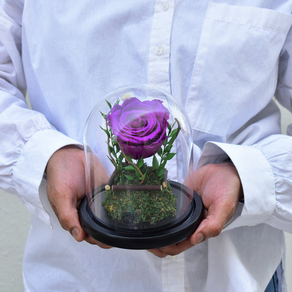 Dark Purple - Forever Rose - Flower Station Dubai