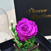 Dark Purple - Forever Rose - Flower Station Dubai