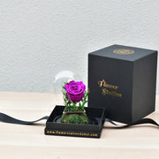 Dark Purple - Forever Rose - Flower Station Dubai