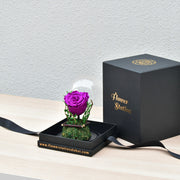 Dark Purple - Forever Rose - Flower Station Dubai